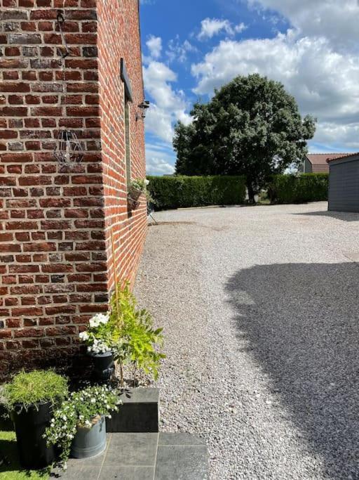 Le Clos Des Glycines Saint-Martin-Lez-Tatinghem المظهر الخارجي الصورة