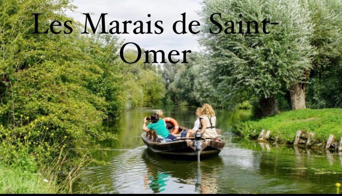 Le Clos Des Glycines Saint-Martin-Lez-Tatinghem المظهر الخارجي الصورة
