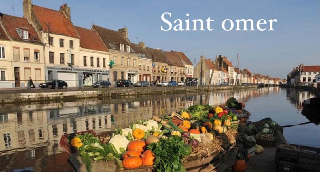 Le Clos Des Glycines Saint-Martin-Lez-Tatinghem المظهر الخارجي الصورة